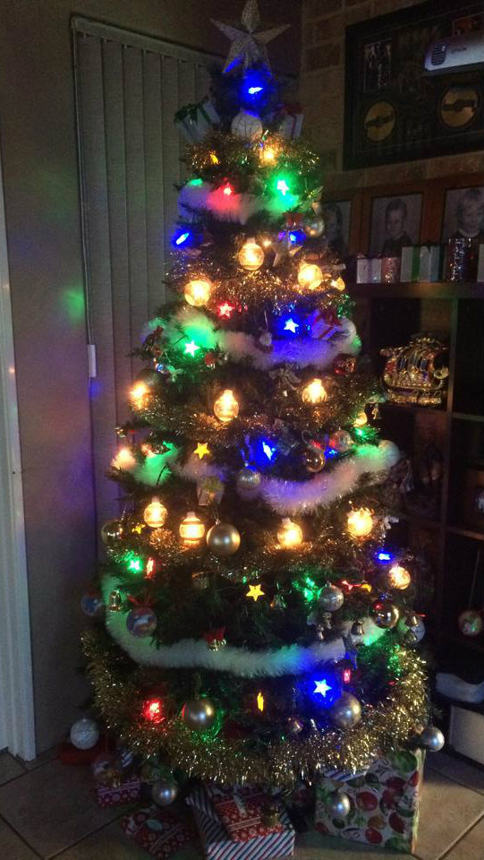 Christmas Tree Decorating Ideas